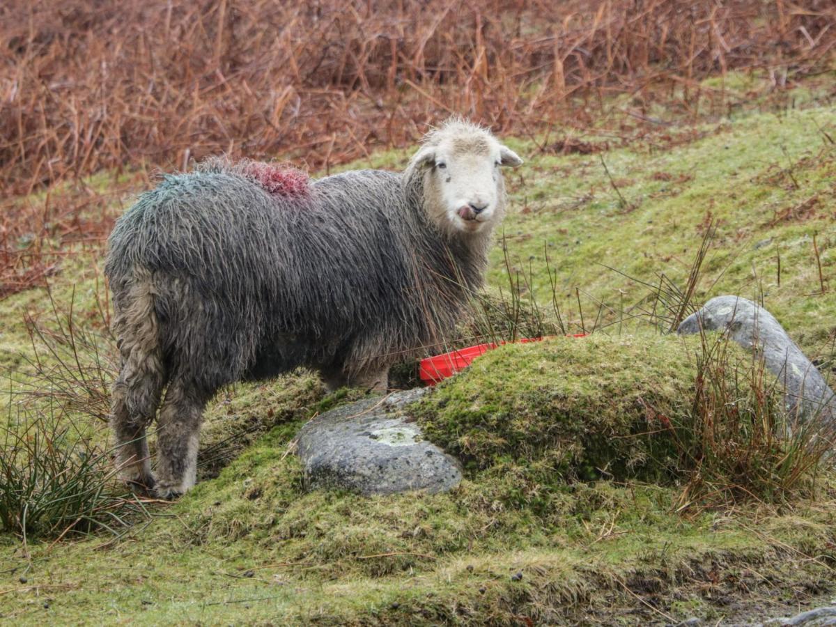 Coniston * Kendal